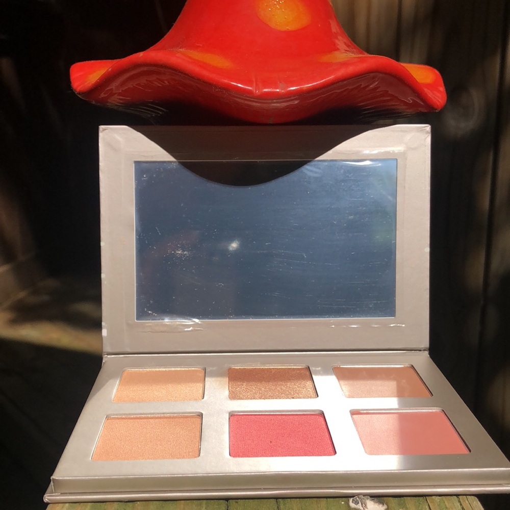 Iconic London Blaze Chaser face Palette Face Powder and blush!